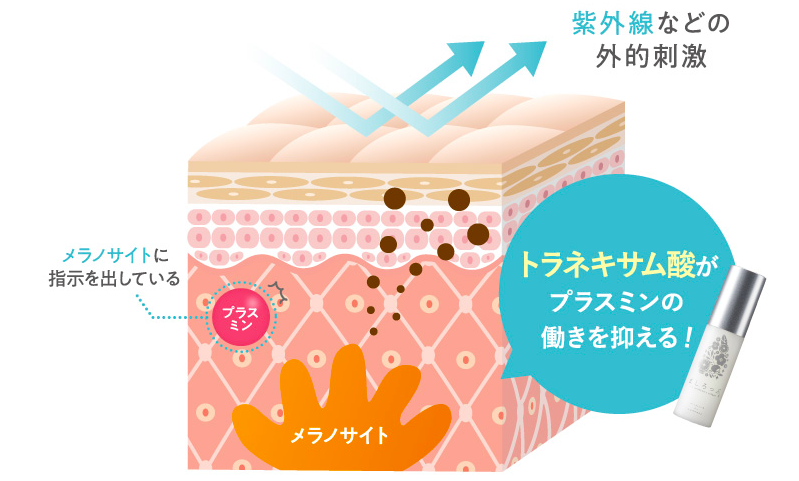 ましろっぷ　トラネキサム酸