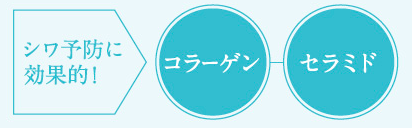 ましろ　抗シワ対策成分